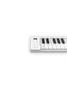 BLACKSTAR CARRY ON PIANO 49
