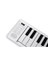 BLACKSTAR CARRY ON PIANO 49