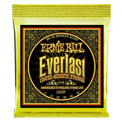 ERNIE BALL 2558 EVERLAST 80/20 LIGHT