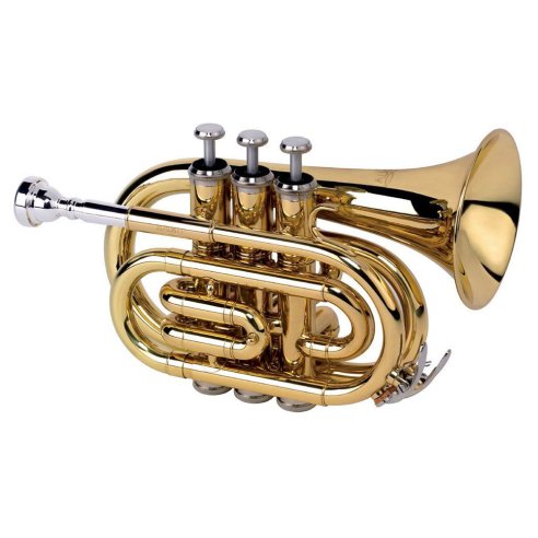 Alysée TR-6500 - laccata
