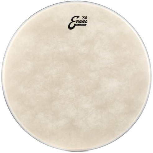 EVANS BD20GB4CT EQ4 CALFTONE