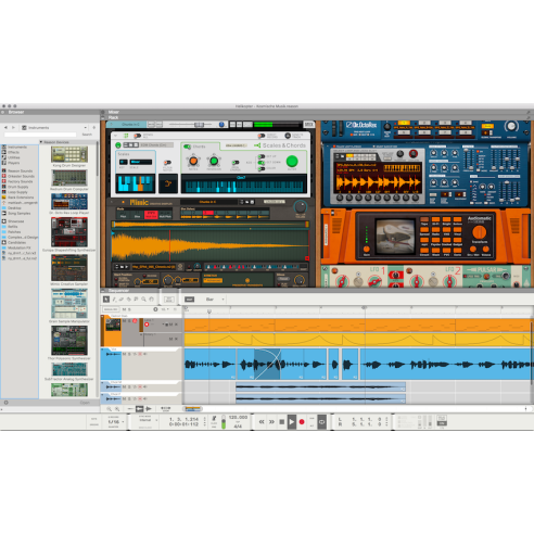 REASON STUDIOS Reason 12+ (Codice sottoscrizione per un anno)