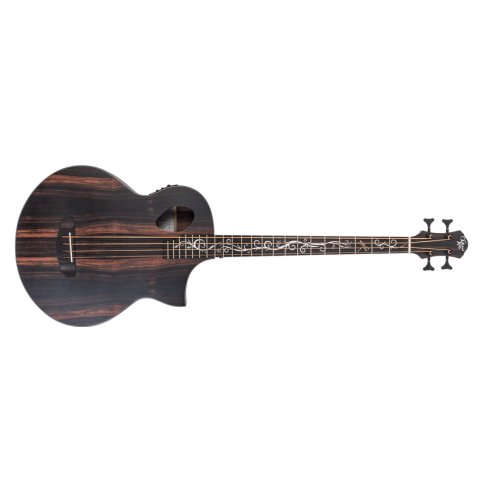 Michael Kelly DRAGONFLY 4 JAVA - Basso acustico -elettrificato - Natural Satin