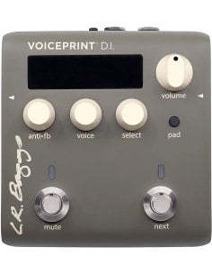 LR BAGGS VOICEPRINT DI