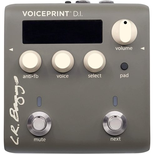 LR BAGGS VOICEPRINT DI