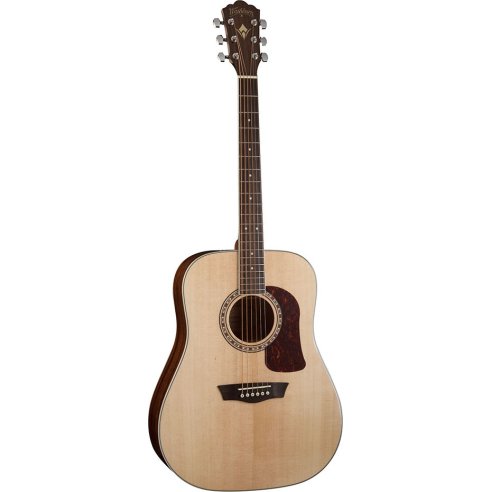 WASHBURN D10 S