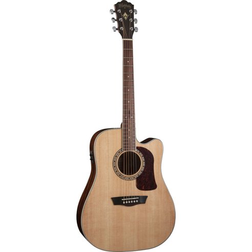 WASHBURN D10 SCE