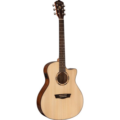 WASHBURN O10 SCE