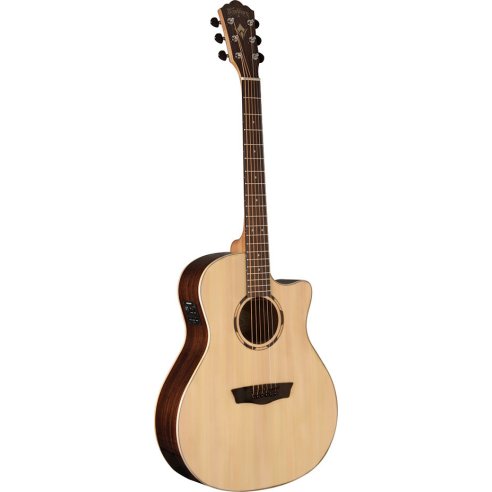 WASHBURN O20 SCE