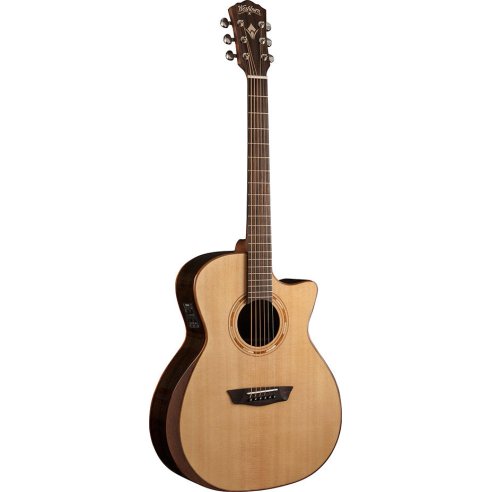WASHBURN G20 SCE