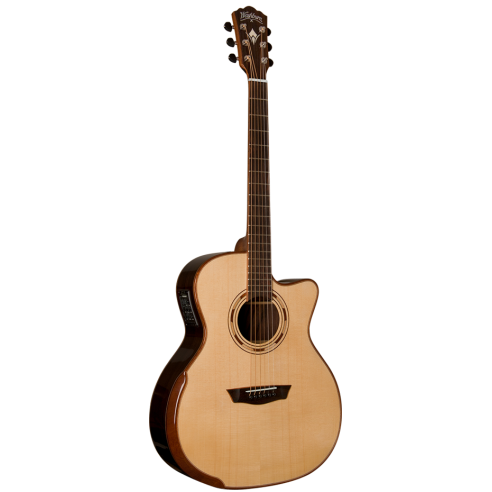 WASHBURN G25 SCE