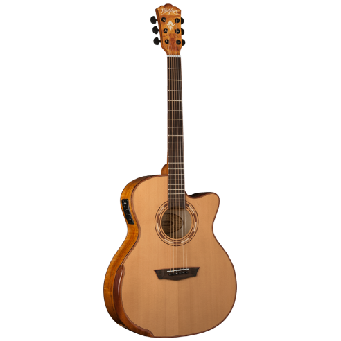 WASHBURN G66 CE