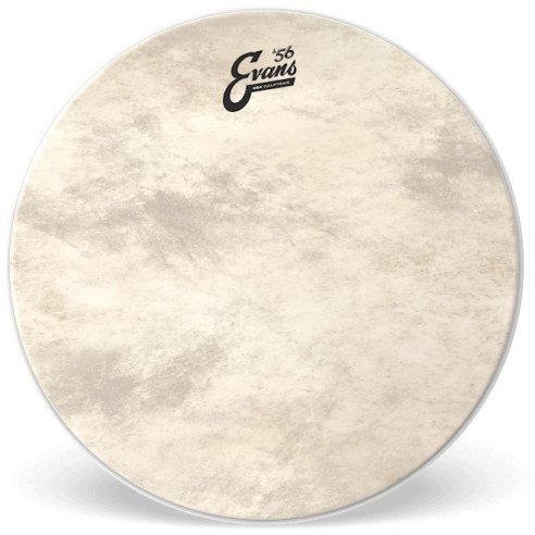 EVANS BD22GB4CT - EQ4 Calftone 22"
