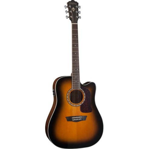 WASHBURN D10 SCE TB