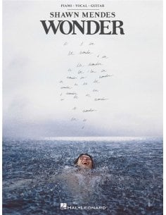 SHAWN MENDES WONDER