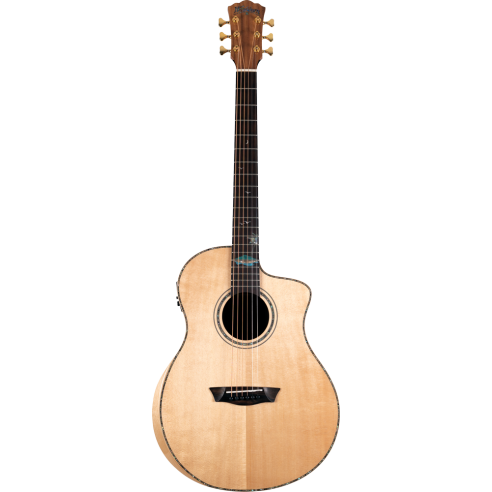 WASHBURN ALLURE  SC56 SCE