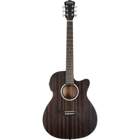 WASHBURN EBONY ACE