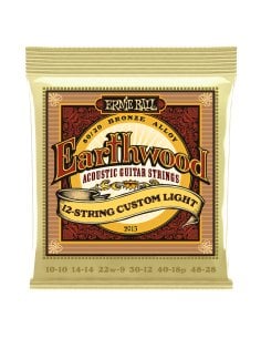 Ernie Ball 2013 Earthwood 12-String Custom Light Bronze 80/20