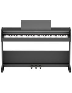 ROLAND RP-107 BK