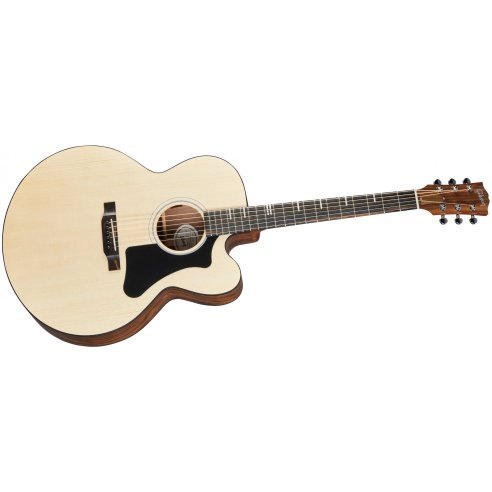 GIBSON G-200 EC