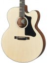 GIBSON G-200 EC