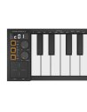 BLACKSTAR CARRY ON MIDI CONTROLLER 49