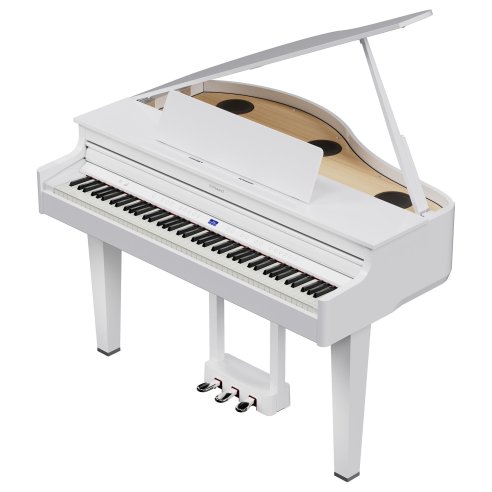 ROLAND GP-6 PW