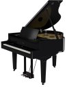 ROLAND GP-9 PE