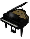 ROLAND GP-9 PE