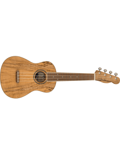 FENDER ZUMA CONCERT SPALTED MAPLE