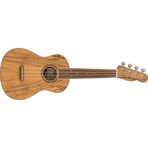 FENDER ZUMA CONCERT SPALTED MAPLE