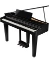 ROLAND GP-3