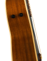 FENDER NEWPORTER PLAYER TIDEPOOL