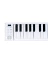 BLACKSTAR CARRY ON PIANO 49 TOUCH WHITE