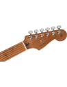 FENDER DE PLAYER STRAT ROASTED MN 2TS