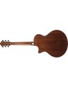 IBANEZ AE240JR-MHS
