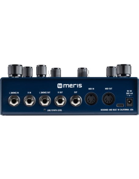 MERIS MERCURY X REVERB MERIS MERCURY X REVERB