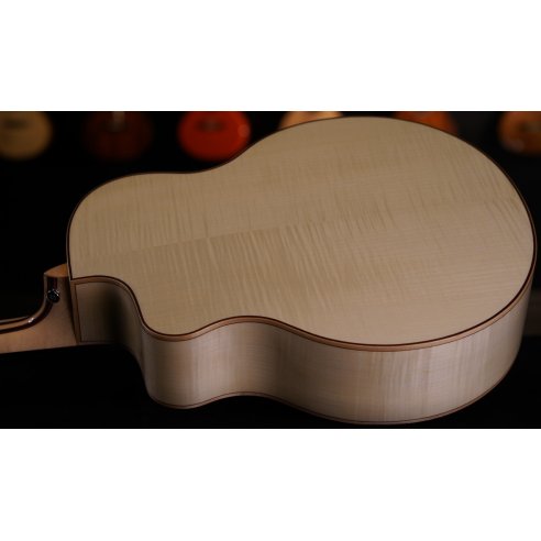 MERIDA CHANCE-OM EQ ORCHESTRA MODEL