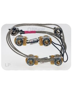 DiMarzio GW2101 LP PRE-WIRED, LONG