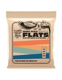 Ernie Ball 2801 Short Scale Flat Gr 2 Ele Bass 4