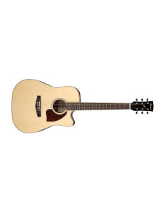 IBANEZ PF16 W CE NT