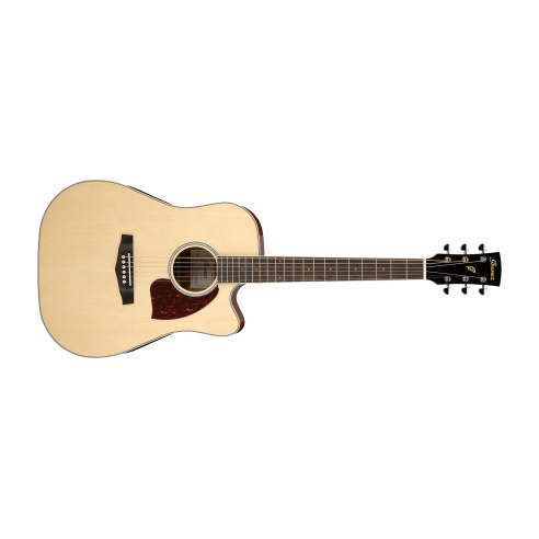 IBANEZ PF16 W CE NT