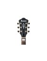 IBANEZ AS73G-BKF