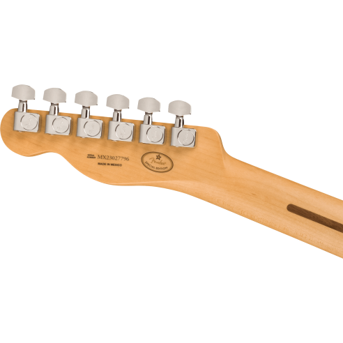 FENDER DE PLAYER TELE OXBLOOD EBONY