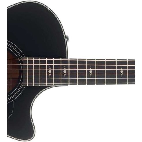 TAYLOR 324CE BLACKTOP LTD