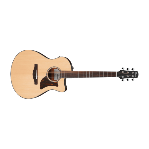 IBANEZ AAM300CE-NT