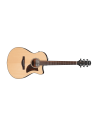 IBANEZ AAM300CE-NT