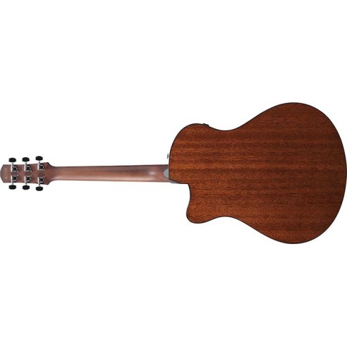 IBANEZ AAM300CE-NT