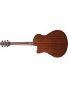 IBANEZ AAM300CE-NT