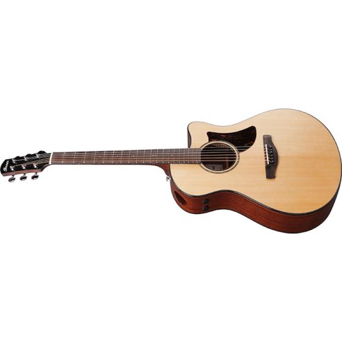 IBANEZ AAM300CE-NT